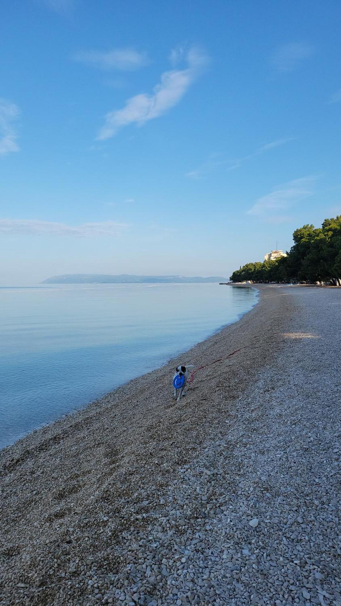 Appartamento Apartman Vulic Tučepi Camera foto